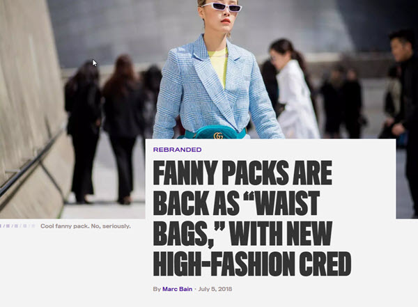 Quartzy fanny pack article